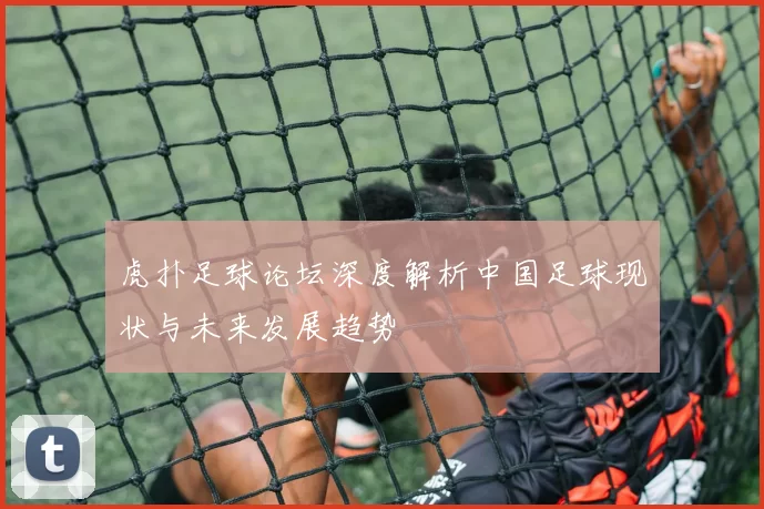 虎扑足球论坛深度解析中国足球现状与未来发展趋势