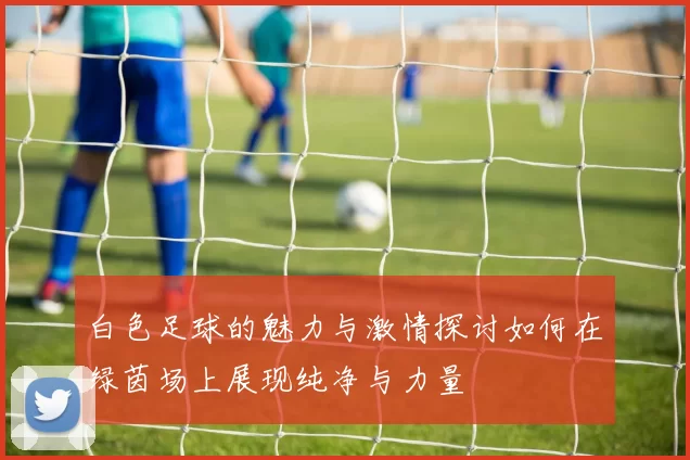 白色足球的魅力与激情探讨如何在绿茵场上展现纯净与力量