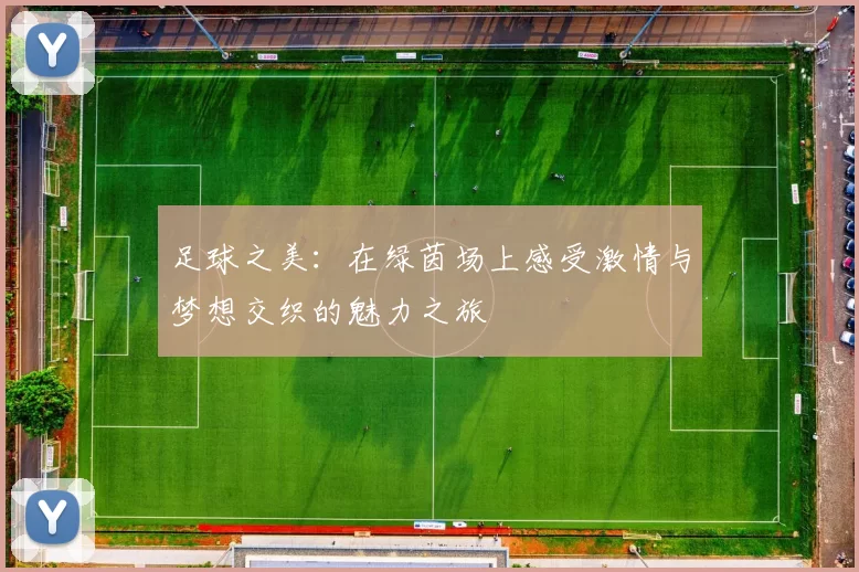 足球之美：在绿茵场上感受激情与梦想交织的魅力之旅
